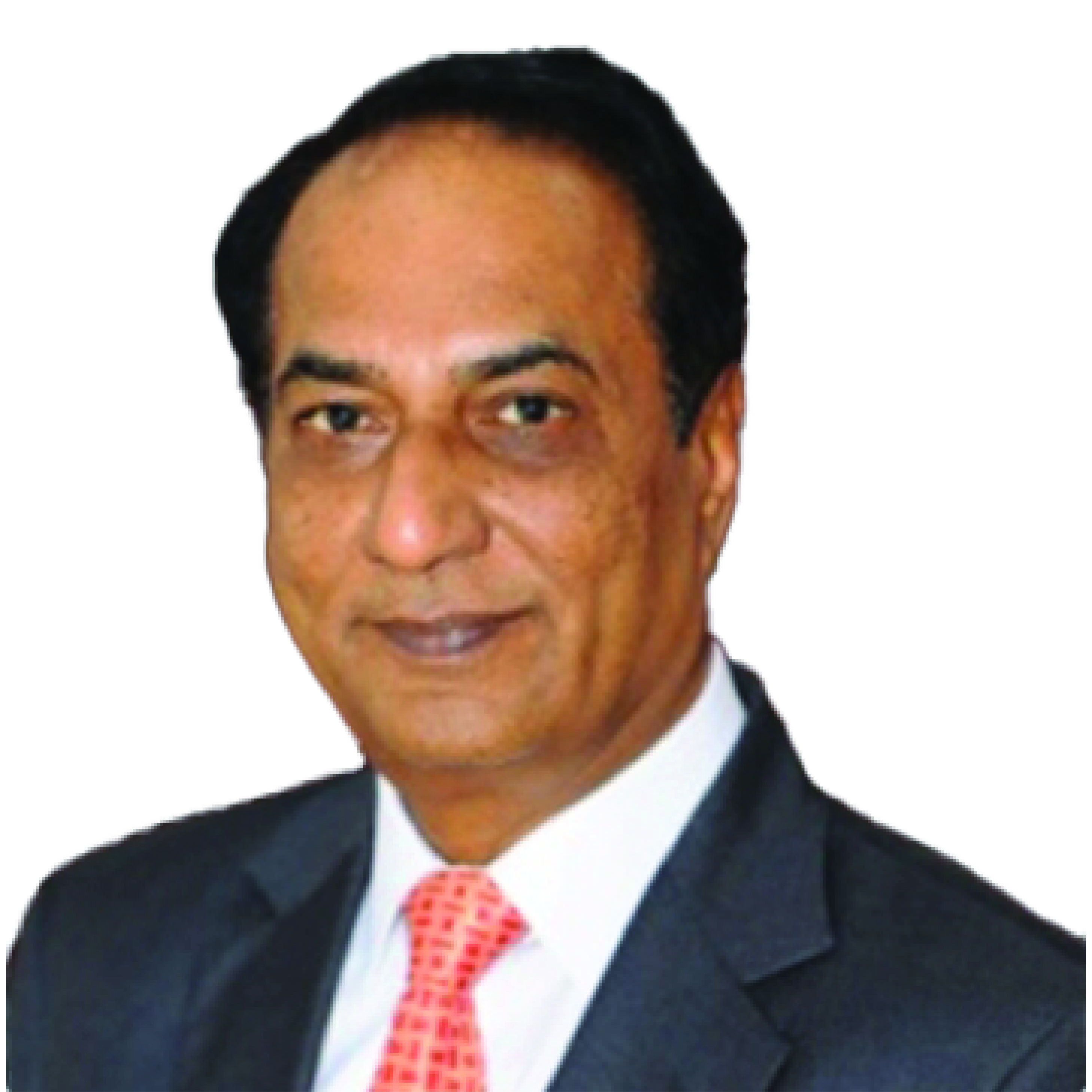 Mr. N Parthasarathi, IFS Retd